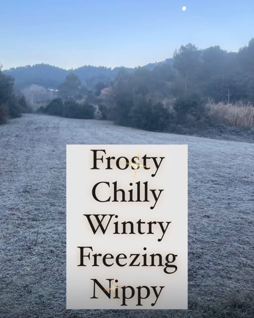 Learn new words with Advance as an alternative to cold