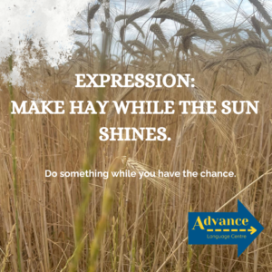 Campo de trigo con la frase en inglés “Make hay while the sun shines”, que significa aprovechar las oportunidades mientras se pueda.