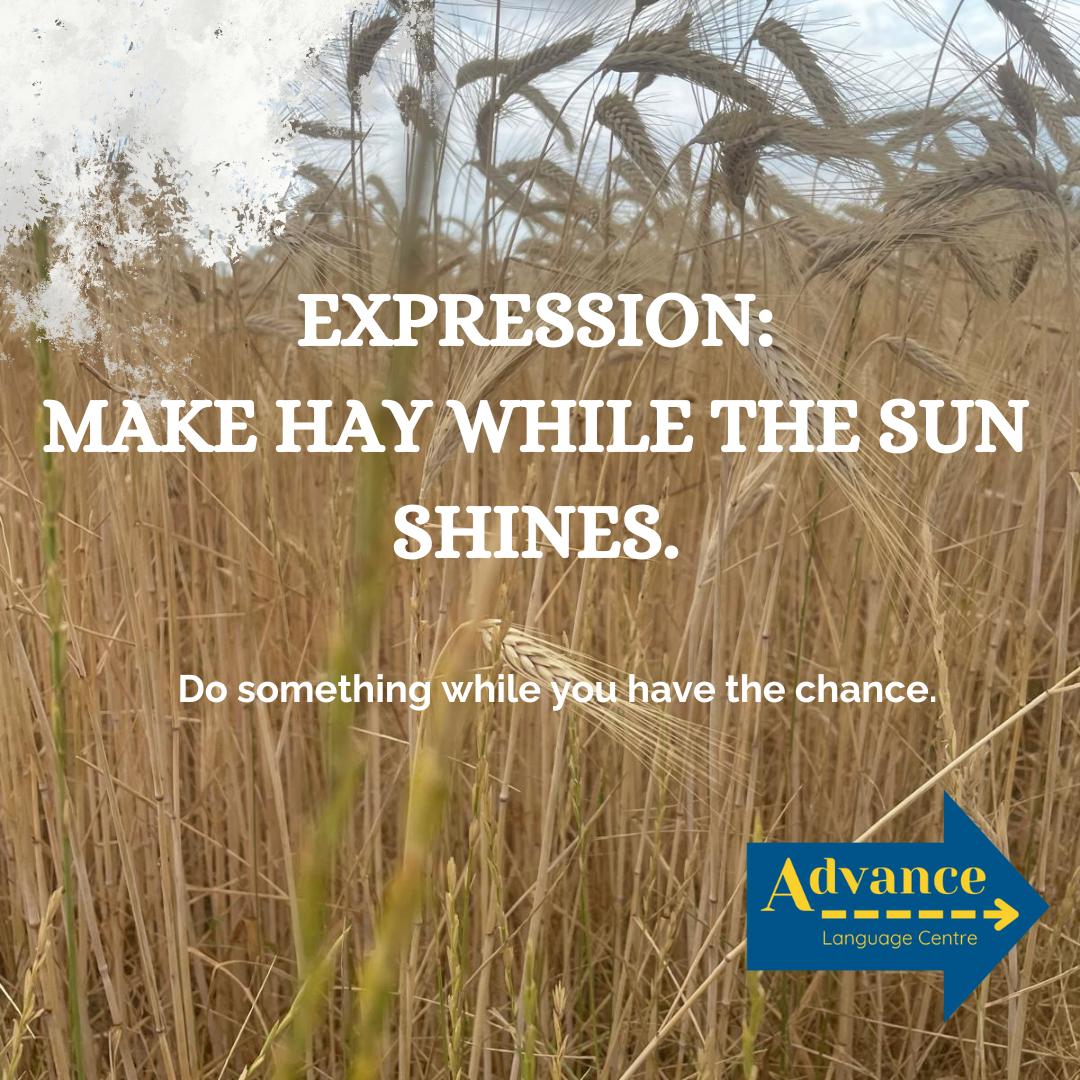 Campo de trigo con la frase en inglés “Make hay while the sun shines”, que significa aprovechar las oportunidades mientras se pueda.